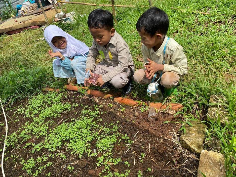 Aktivitas sensori di kebun